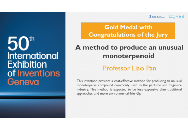 499490531_1185977413320808_1611147145208182422_n